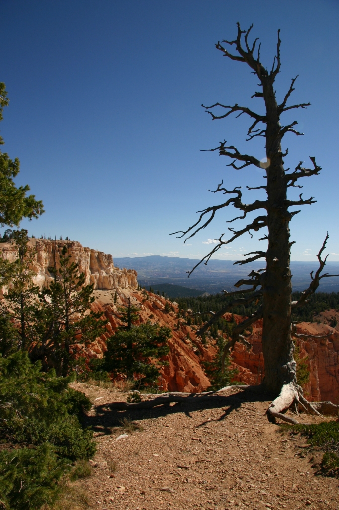 06 - Bryce Canyon NP (4).jpg